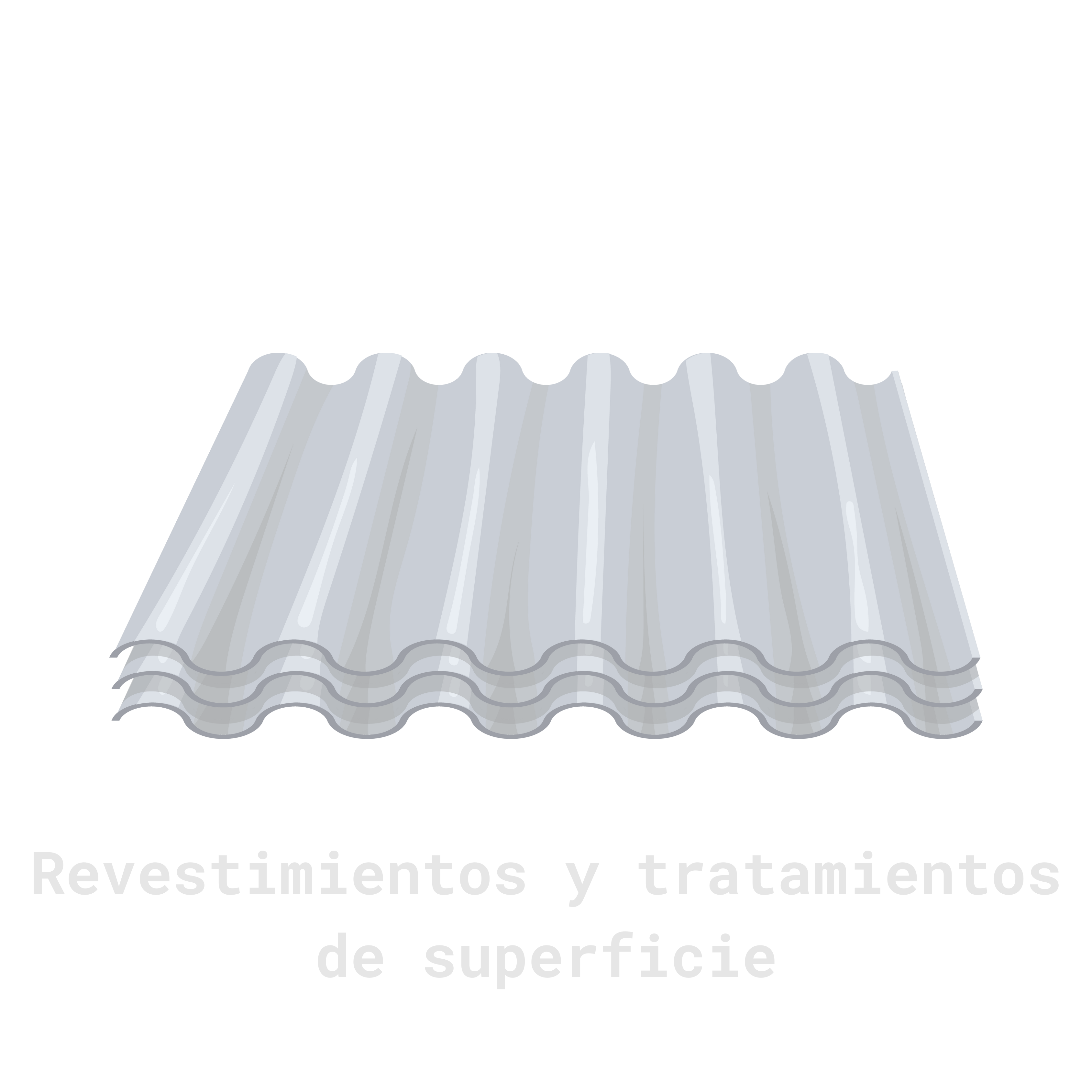 Imagen 6